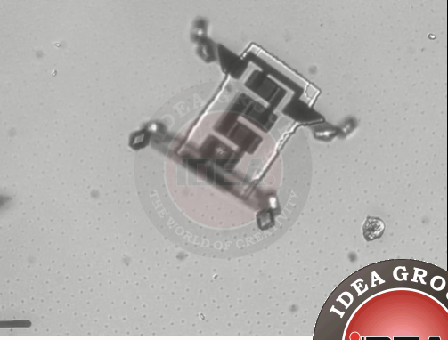 Robot siêu nhỏ đầu tiên di chuyển bằng công nghệ laser